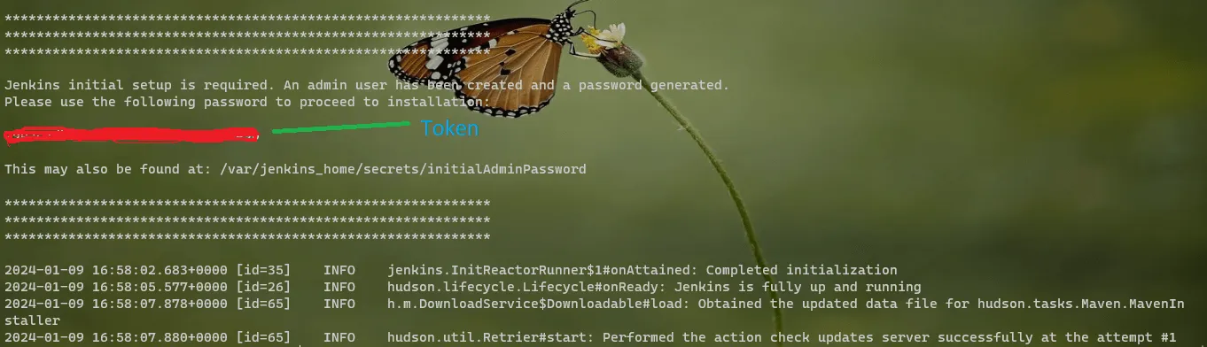 Jenkins Plugin Installation